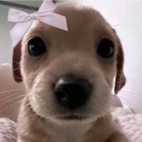 _zosix_