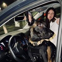 tania.bolo