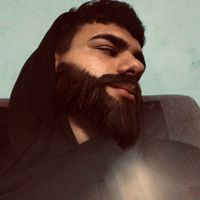 mr.pet29