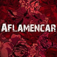 aflamencar.oficial