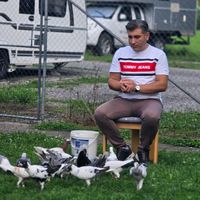 isvicrelimustafa