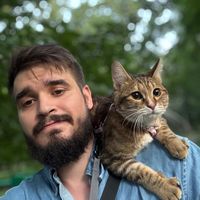 оригинальный звук