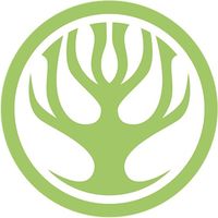transilvaniahealing