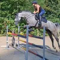 lxena.seidl
