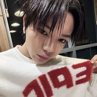 skzbtstxt.stayarmymoapar