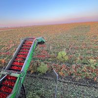 agro_agro7