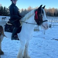 eq....lilja