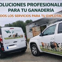 vg.sustiticionesgranjas