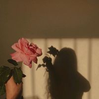 lexandra.l