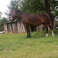 pia.sophie62