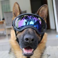 rexthegsddd
