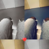 its_bln