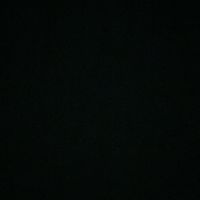 naila_3813_