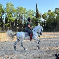 currogruiz_07