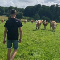 enzo_gms39