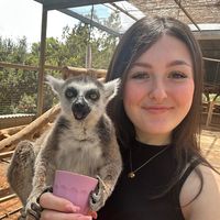 oliviastraveldiary