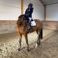 _equi.lilli