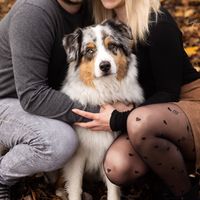 sam.the.aussie