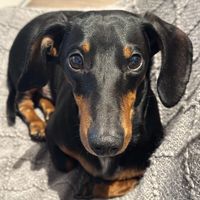 itsmeminicharlie