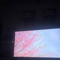 kellan_rowe2