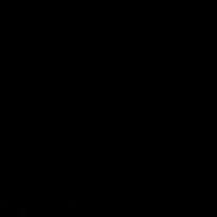 salishxvspp