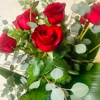 _habiba280