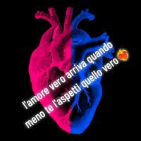 tiamo_amore_mio_