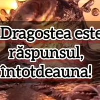 miagheorghe1