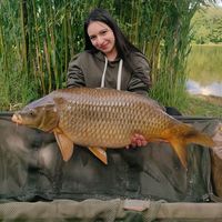 bokonyi.anett