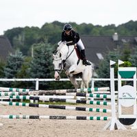 jk_equestrian__