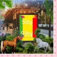 siby6568