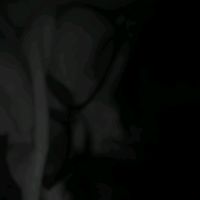 vkevvv__.o_0