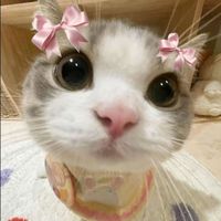 ЗАВОЗИК
