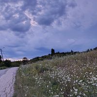 nina_cf450