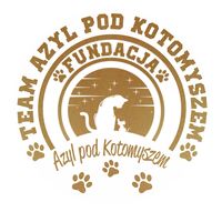 azyl_pod_kotomyszem