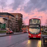 certifiedsouthlondoner