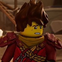 ninjaagago