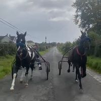 samanthaward58