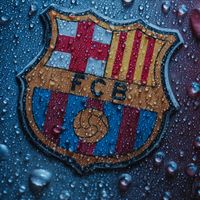 pasionblaugrana01