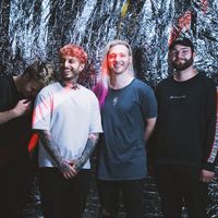 lifespark.band