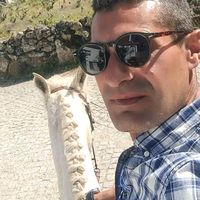 lusitano.ricardo