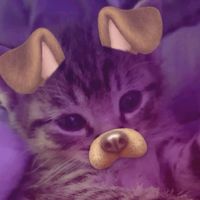 sophie.edits24