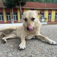 andreea_.1481