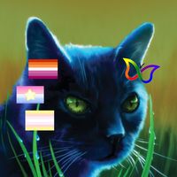 ravenpawspaws