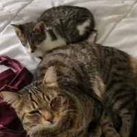 original sound - chris_grammatikopoulos