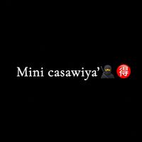 usr.9317zz