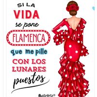 m_ariposa77