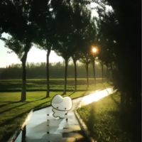 pier_rip7