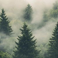 elust__enesest