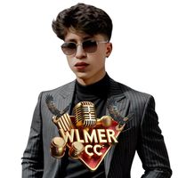 wilmercofre0
